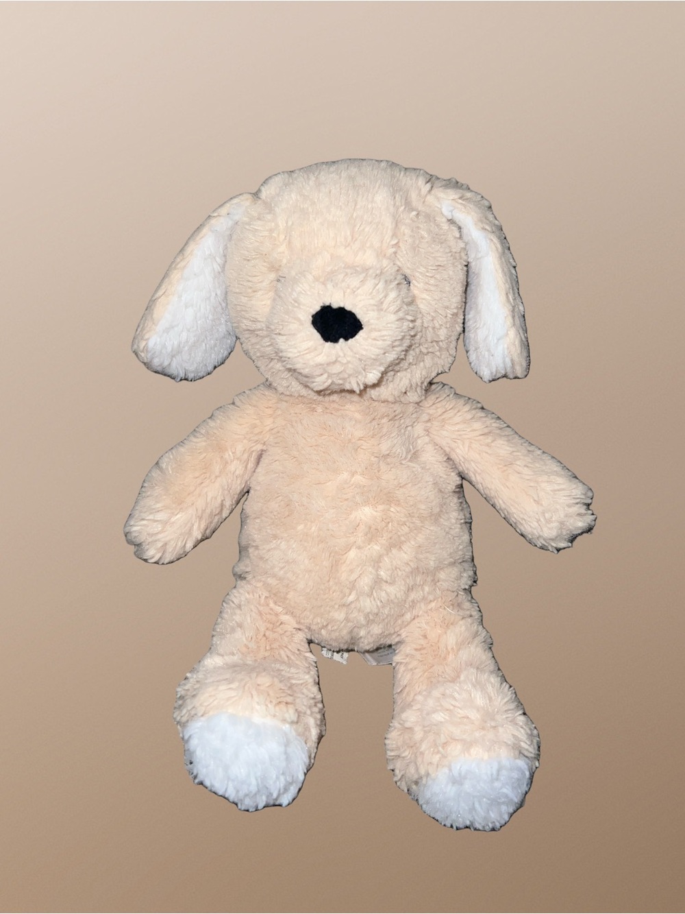 Carters Golden Retriever Puppy Dog 11” Baby Lovey Tan Stuffed Plush 2020